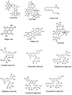 Pharmacotherapeutic potential of pomegranate in age-related neurological disorders